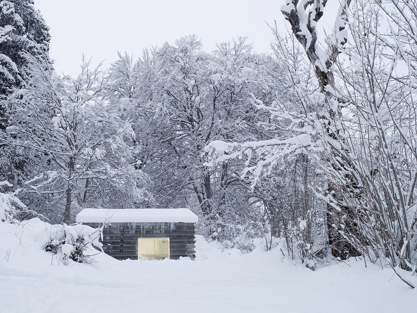Nickisch Walder, Refugi Lieptgas, Flims