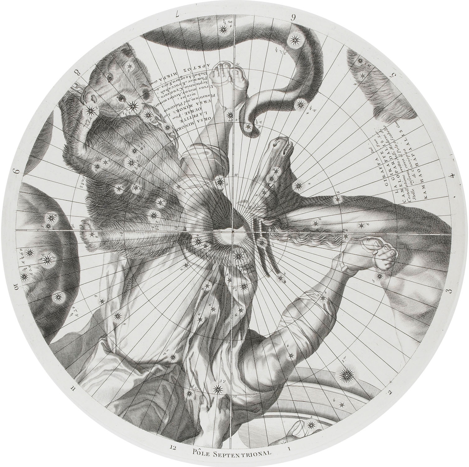 Modèle du globe céleste pour l'année 1700 par V. Coronelli. J.-B. Nolin, A. de Vuez