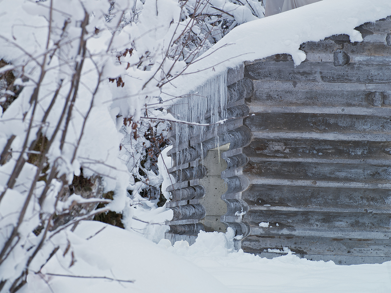 Nickisch Walder, refuge Lieptgas, Flims