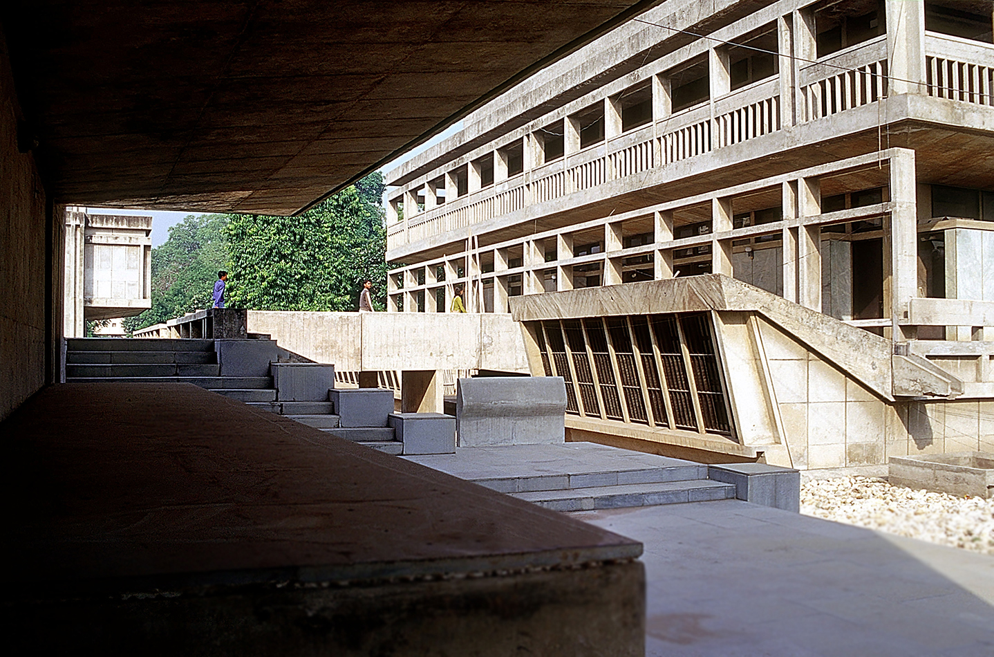 Institute of Indology, 1962, Ahmedabad, India