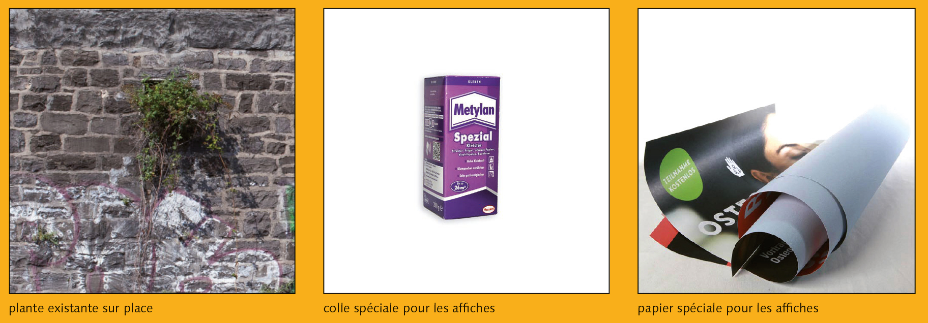 5aa1080cd4728.jpg