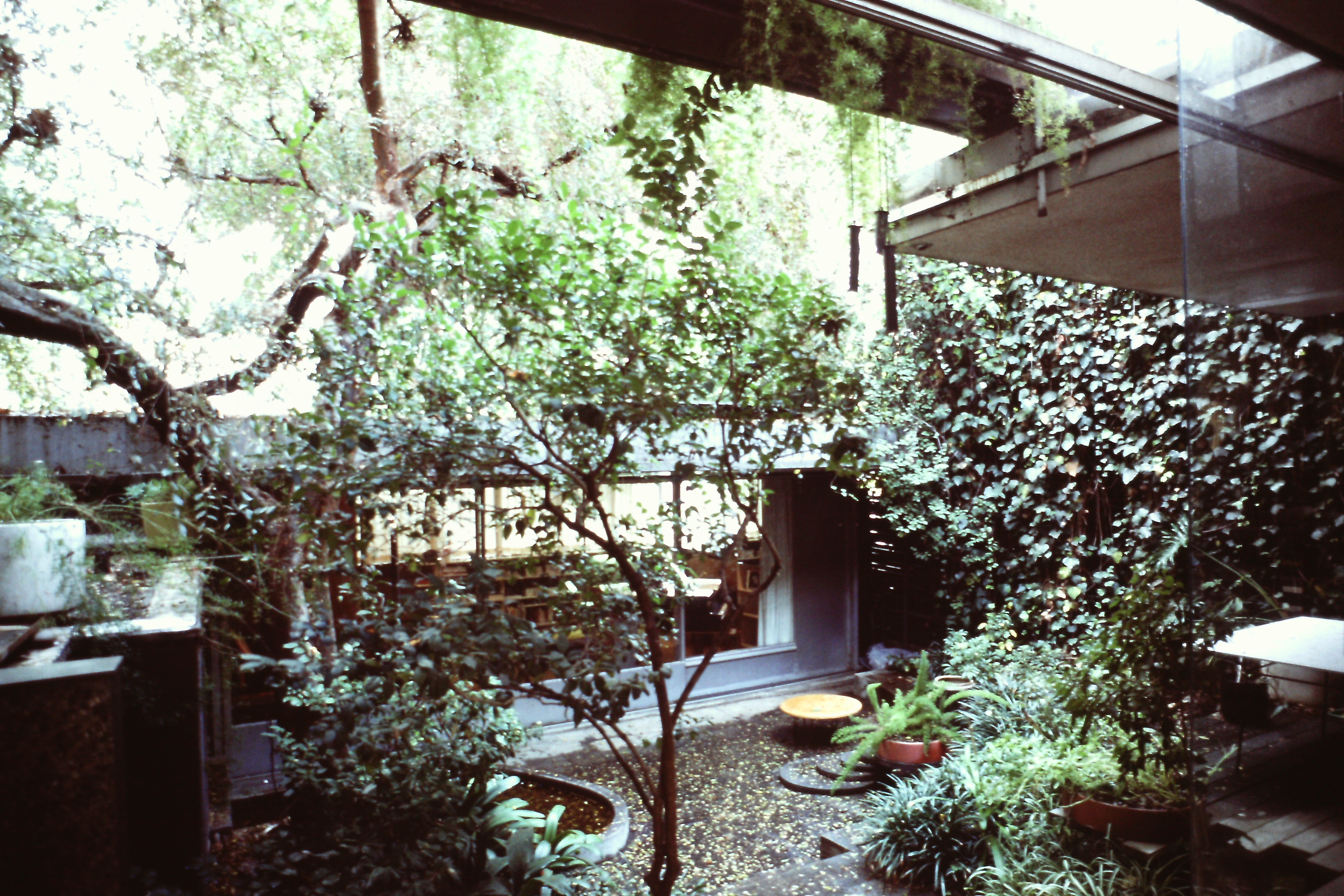 Lovell Health House - Garden, Los Angeles, Richard Neutra, 1927-1929 Diapositive André Corboz