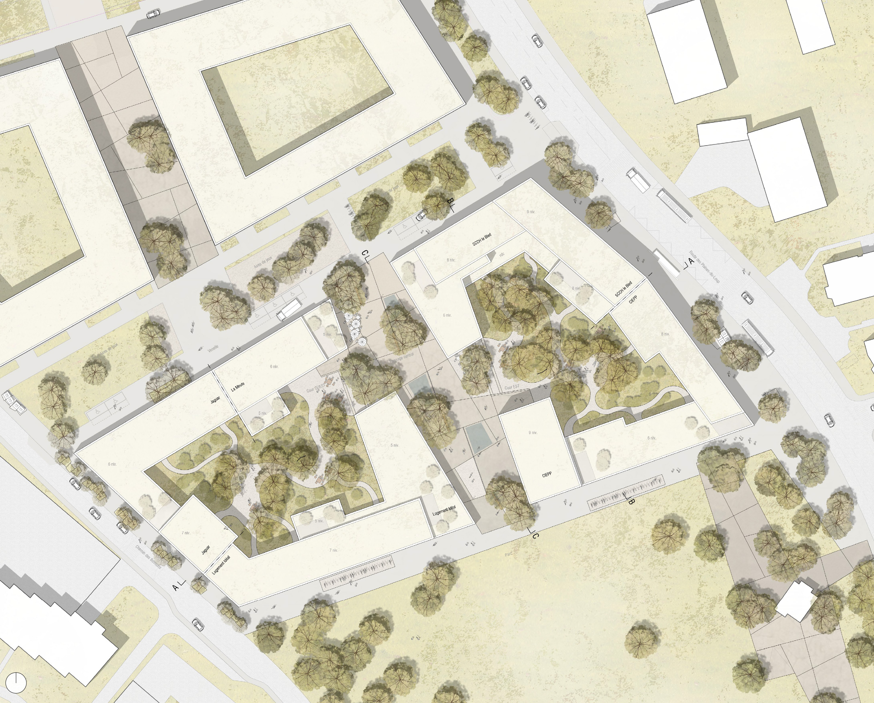 Plan masse, projet «Dentelle» de Aeby Perneger &amp; Associés + Hüsler &amp; Associés