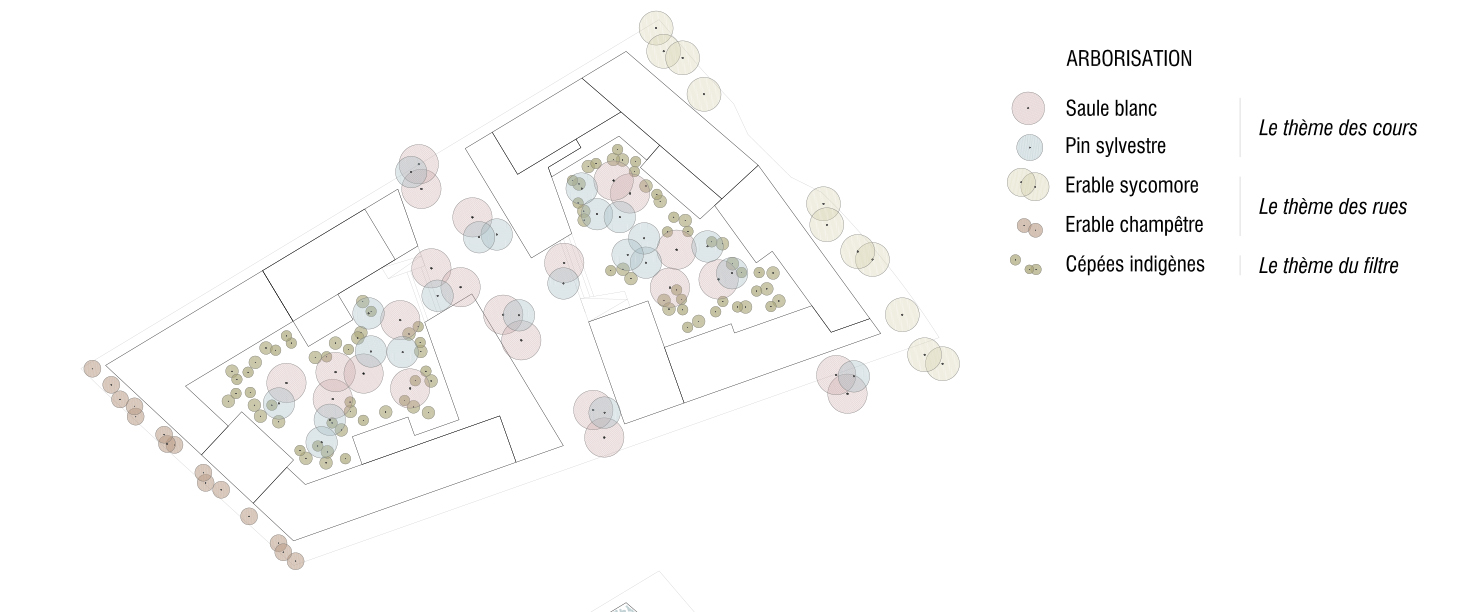 Concept paysager, projet «Dentelle» de Aeby Perneger &amp; Associés + Hüsler &amp; Associés