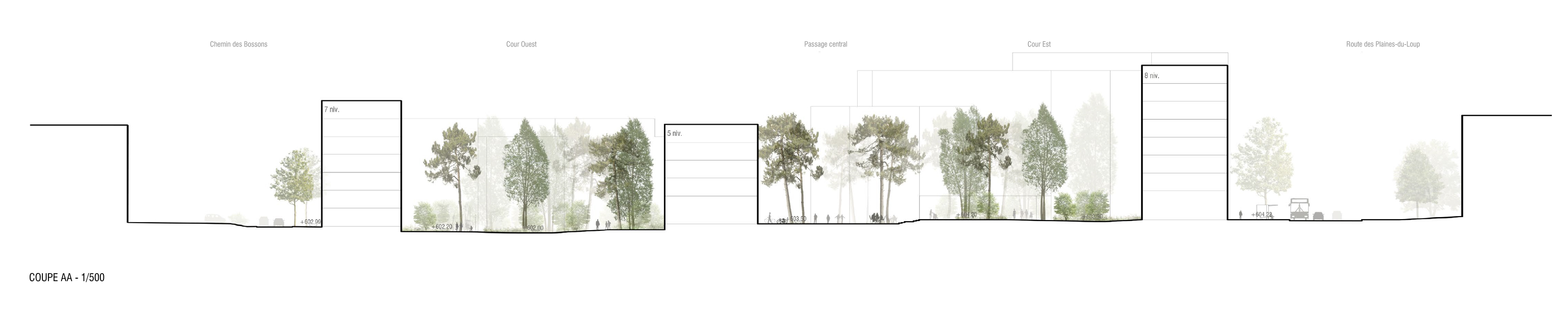 Coupe, projet «Dentelle» de Aeby Perneger &amp; Associés + Hüsler &amp; Associés