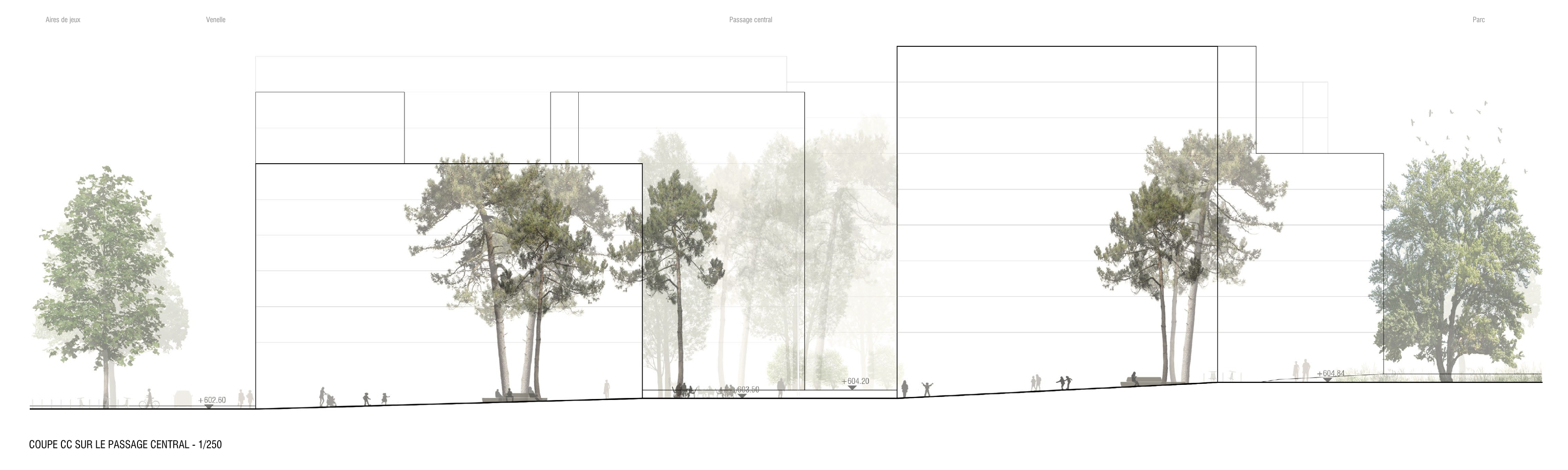 Coupe passage central, projet «Dentelle» de Aeby Perneger &amp; Associés + Hüsler &amp; Associés