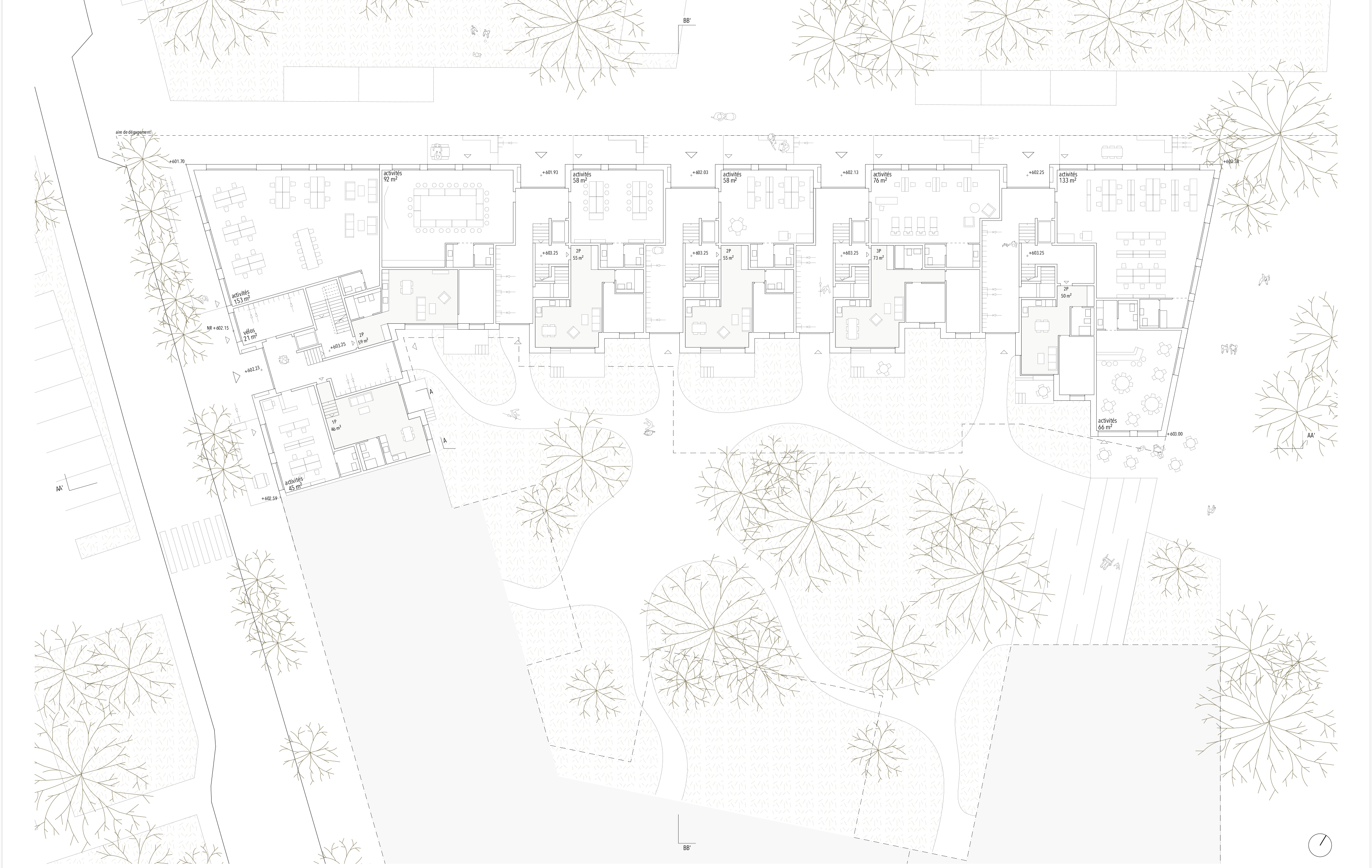 Lot 1 - Plan du rez-de-chaussée du projet lauréat ALTERITE de cBmM Architectes