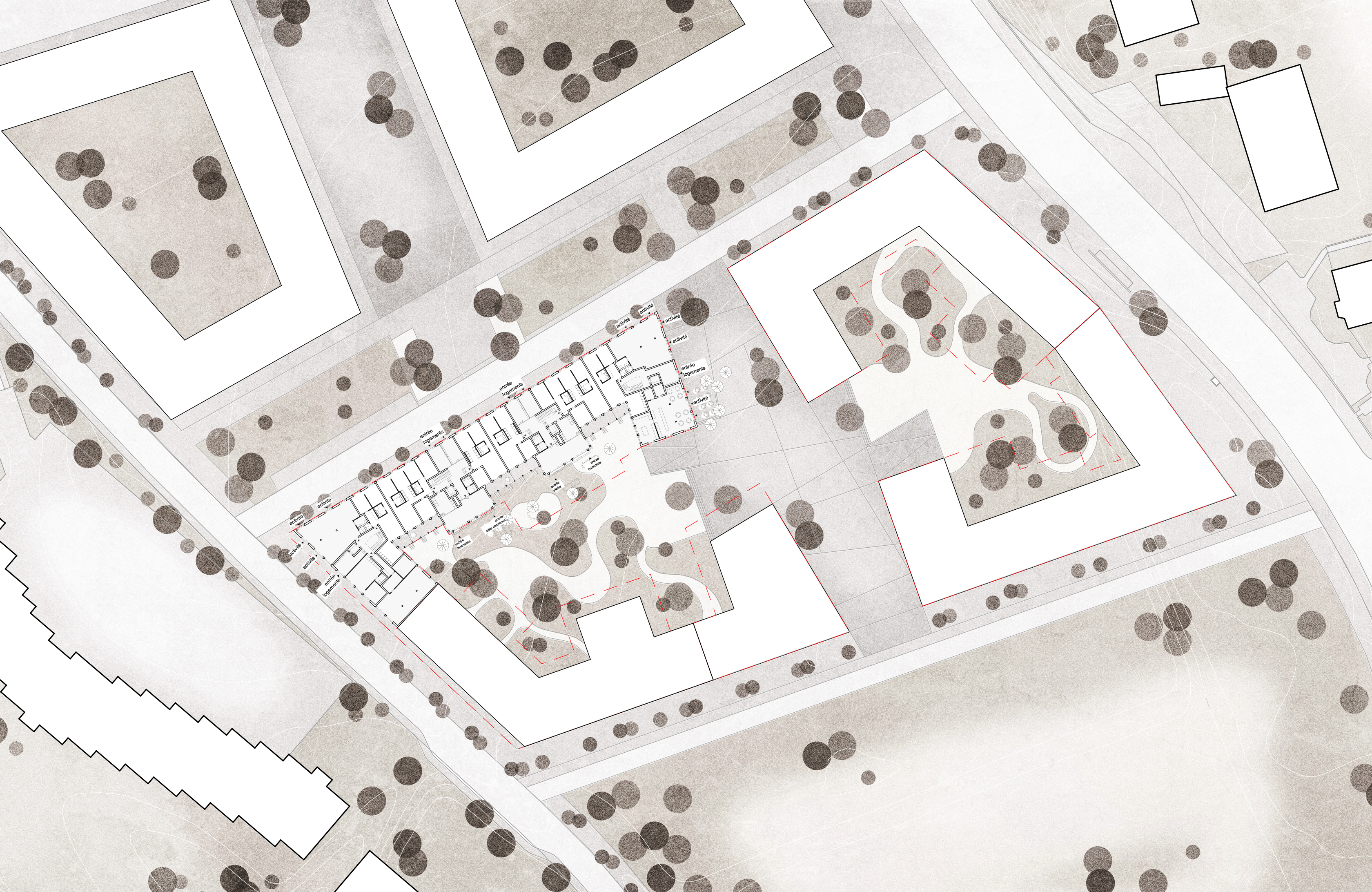 Lot 1 - Plan de situationdu projet Terra Incognita de Esch Sintzel Architekten+Nicolas de Courten architectes