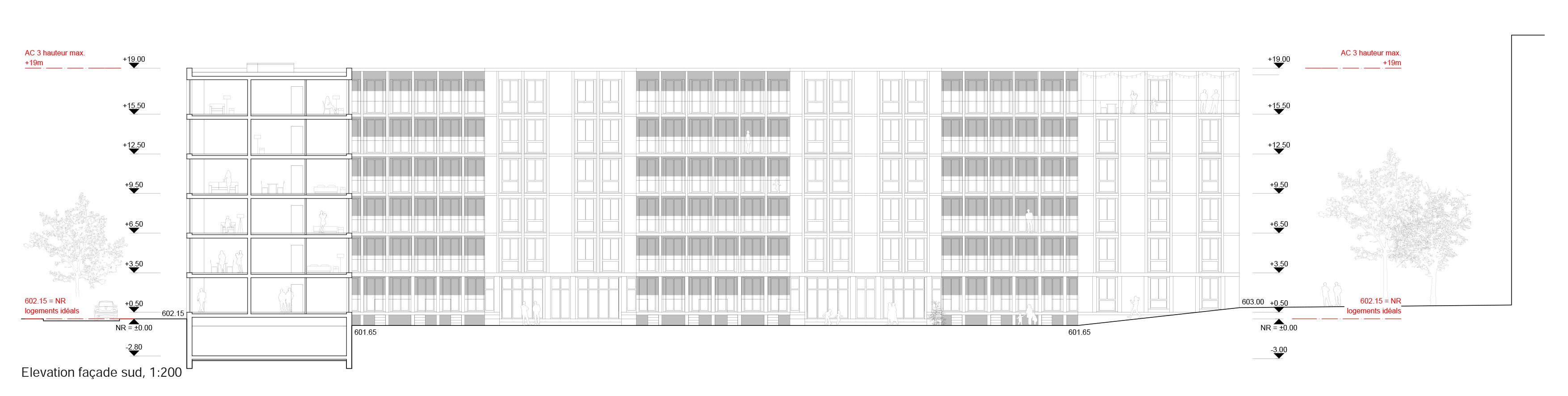 Lot 1 - Elévation façade suddu projet Terra Incognita de Esch Sintzel Architekten+Nicolas de Courten architectes