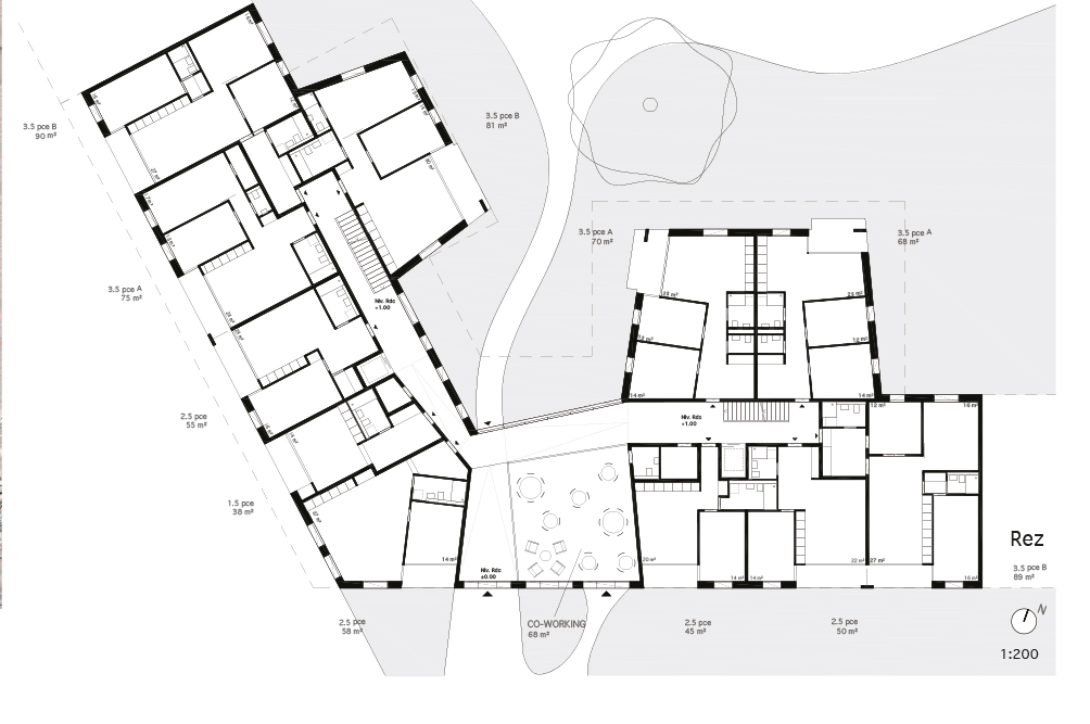 Lot 2 - Plan du rez-de-chaussée du projet OAK PARK de L-architectes