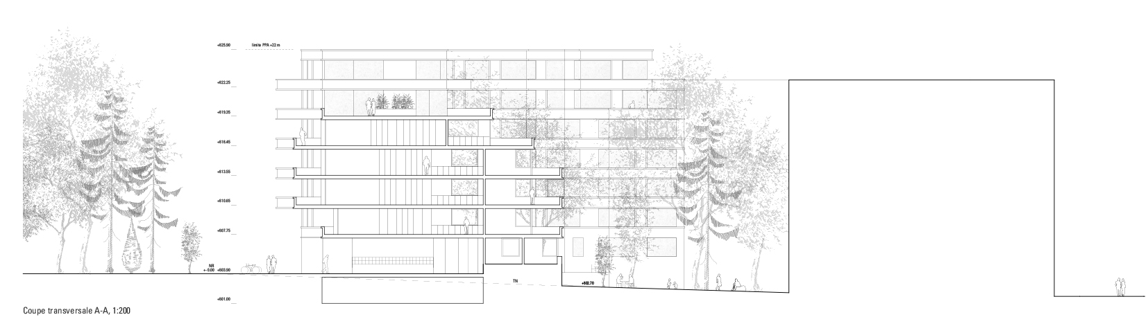 Lot 2 - Coupe transversaledu projet PARK VIEW de farra zoumboulakis &amp; associés