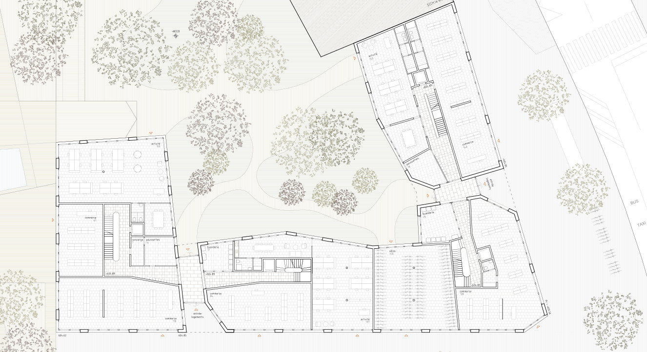 Lot 3 - Plan du rez-de-chaussée du projet OSMOSE de dl-c,designlab-construction