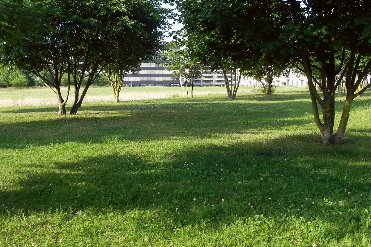 Der Basler Erlenmattpark: ein neuer Landschaftspark mit differenziertem und zoniertem Naturcharakter.