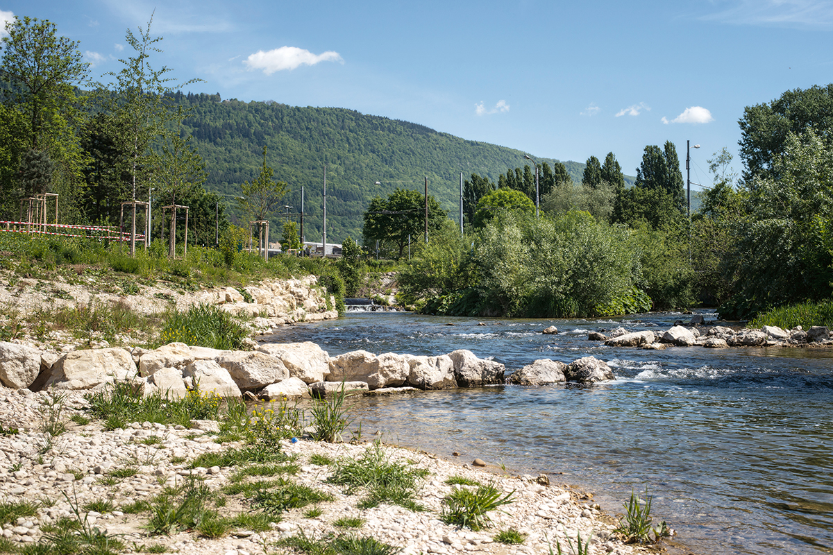 Die Schüssinsel in Biel.