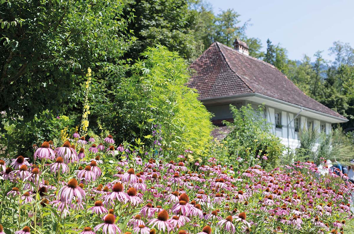 Das Freilichtmuseum hat von Anfang an den Grundgedanken vertreten, dass nicht nur Gebäude, sondern auch Geländeformen, Landschaftselemente und Anbautechniken zum Kulturerbe zählen.