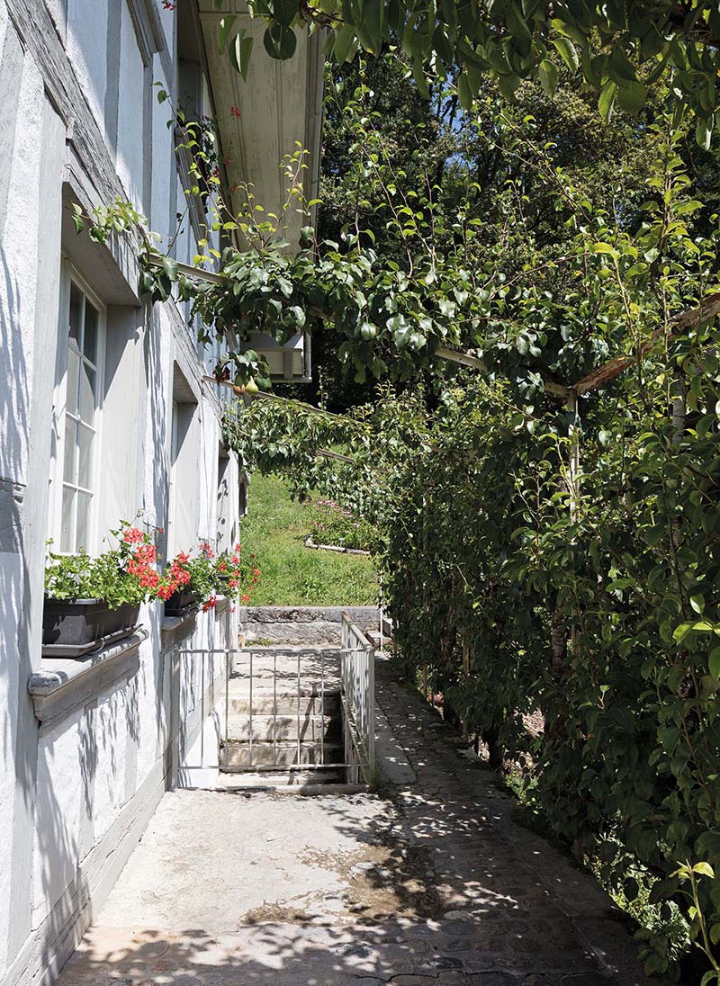 Dekorative Topfpflanzen wie Geranien – die Rigi, Schöne von Grenchen und viele weitere Sorten wachsen auf den Fensterbrettern der Ballenberghäuser – sind zwar ein Phänomen des 20. Jahrhunderts und haben bei Bauernhäusern aus dem 17. oder 18. Jahrhundert aus wissenschaftlicher Sicht nichts zu suchen, die Erwartungen des Publikums sollen aber auch erfüllt werden.