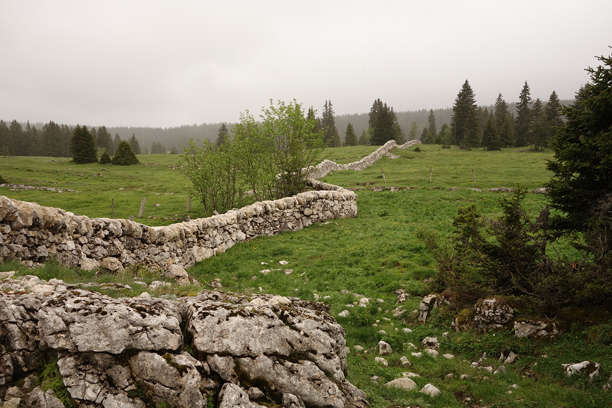 Die Instandstellung von Trockenmauern ist eines der wichtigsten Tätigkeitsfelder des Fonds Landschaft Schweiz. Seit 2010 unterstützt der Fonds diverse Projekte des Parc Jura Vaudois zur Erneuerung der Trockenmauern. Sie prägen die Landschaft und gehören zur regionalen Identität.