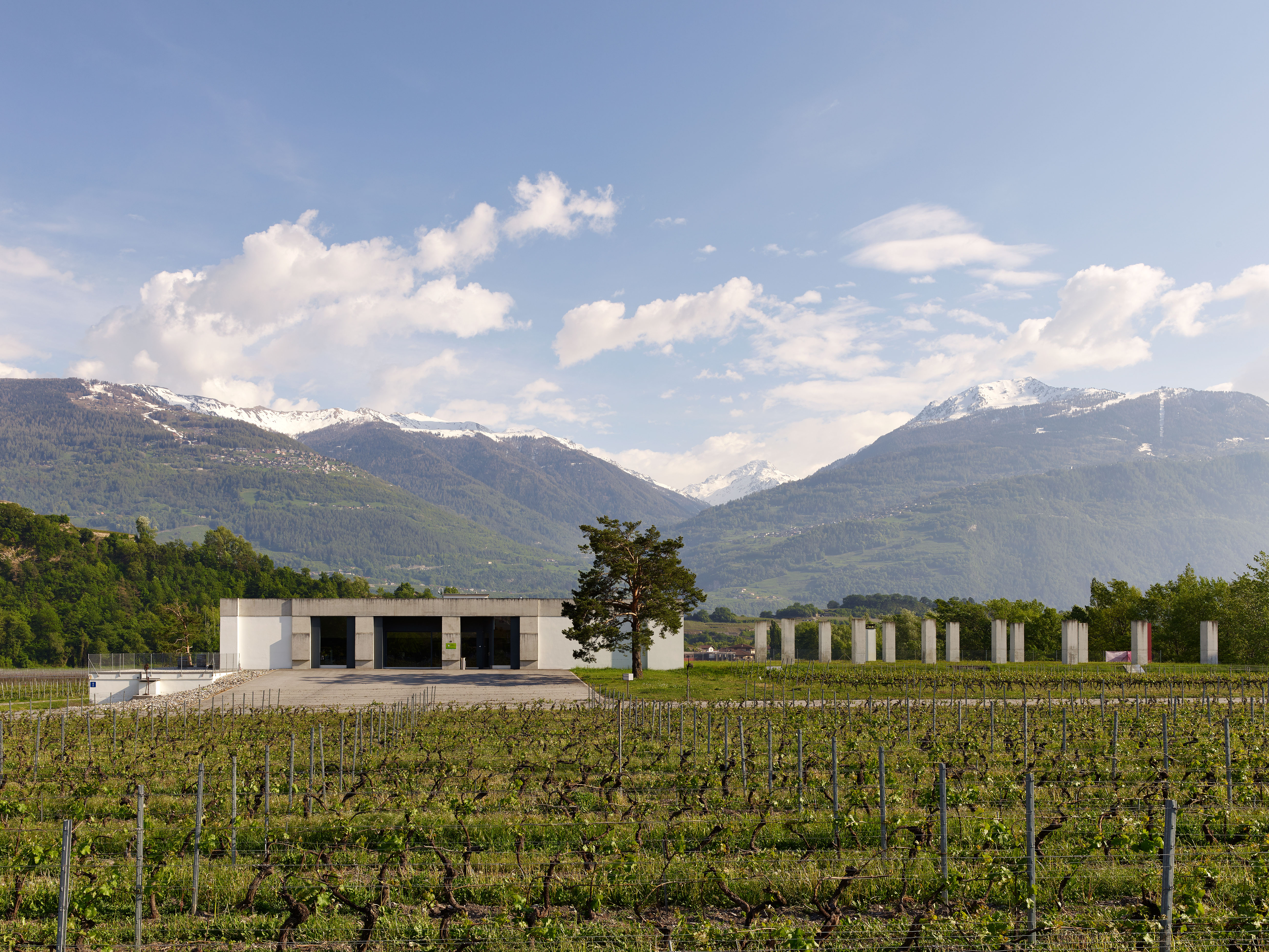 Bien campée sur son domaine, la surélévation de la cave du Fin Bec semble d’un autre temps. Les seize piliers qui révèlent la partie enterrée du bâtiment évoquent une ruine.