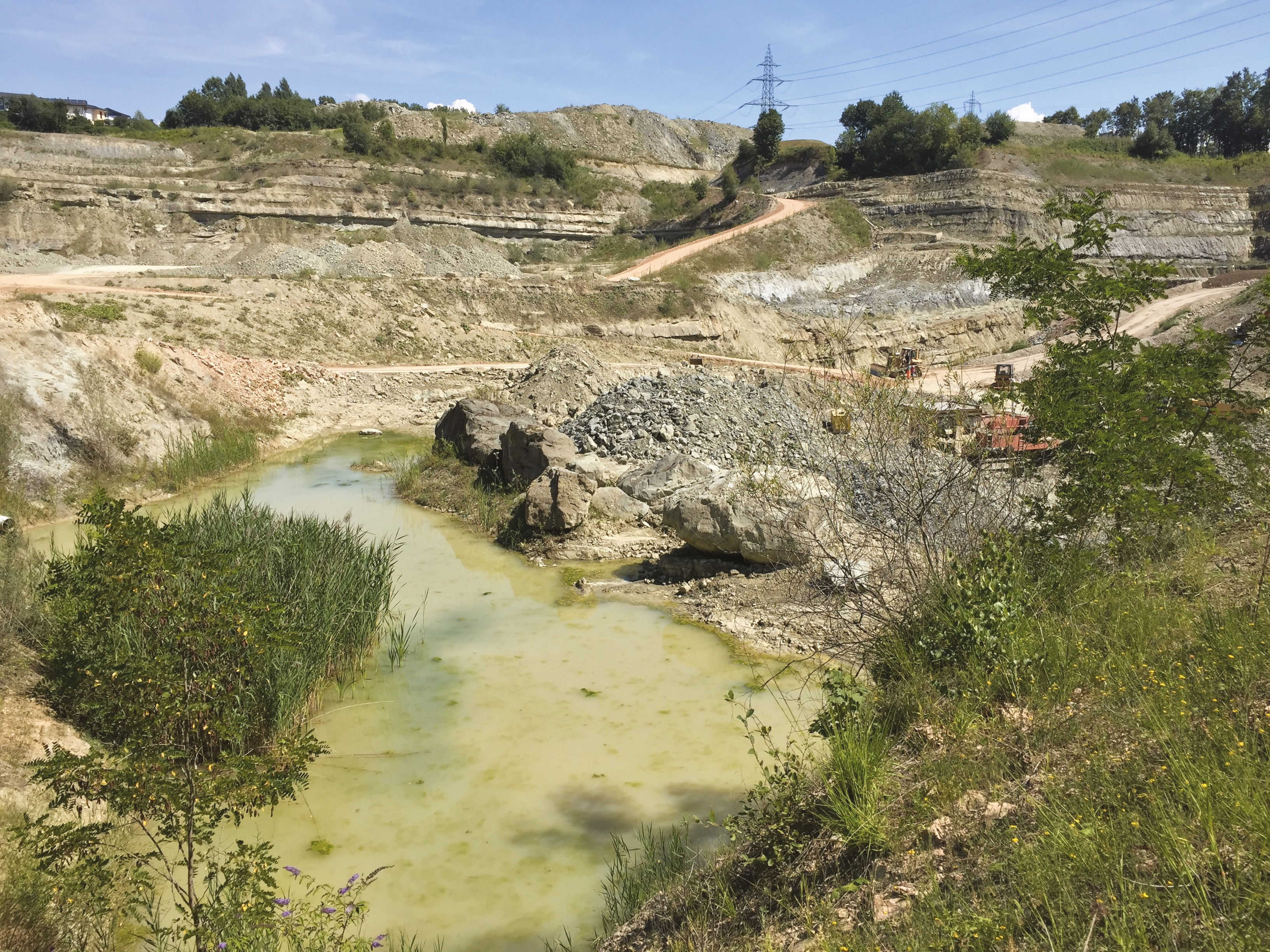 Glaisière la Lovaire à Crissier, d’où sont extraites les terres argileuses pour la fabrication des tuiles et briques de terre cuite. Au premier plan, les étangs qui se recréent naturellement dans des bassins imperméables.