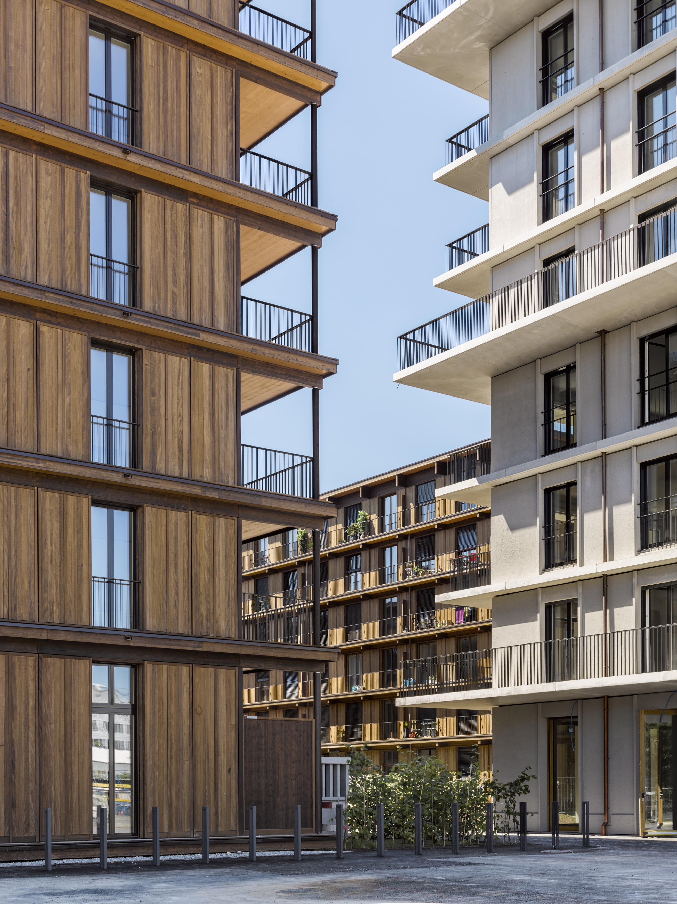 Edifici nell'area Freilager a Zurigo. DETTAGLI DEL PROGETTO: Abitazioni plurifamigliari SPECIE DI LEGNAME MAGGIORMENTE IMPIEGATA: abete bianco UTILIZZAZIONE DEL LEGNO: impregnato PROMOTORE DEL PROGETTO: Zürcher Freilager AG, Jean-Claude Maissen, Zürich ARCHITETTURA / PIANIFICAZIONE Rolf Mühlethaler Architekt BSA SIA Bern, Rolf Mühlethaler, Bern ESECUZIONE DEI LAVORI IN LEGNO Renggli AG, Matthias Kaufmann, Schötz INGEGNERE Indermühle Bauingenieure GmbH, Daniel Indermühle , Thun ULTERIORI Allreal Gener