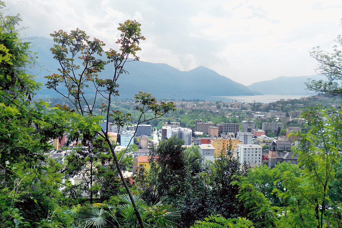 Enge Verzahnung von Siedlung und Wald: Blick auf Locarno-Solduno und den Lago Maggiore. In einer kleinen Waldlichtung wächst ein Götterbaum. Beim Austrieb ist der Baum an seinen rötlichen Blättern gut erkennbar.
