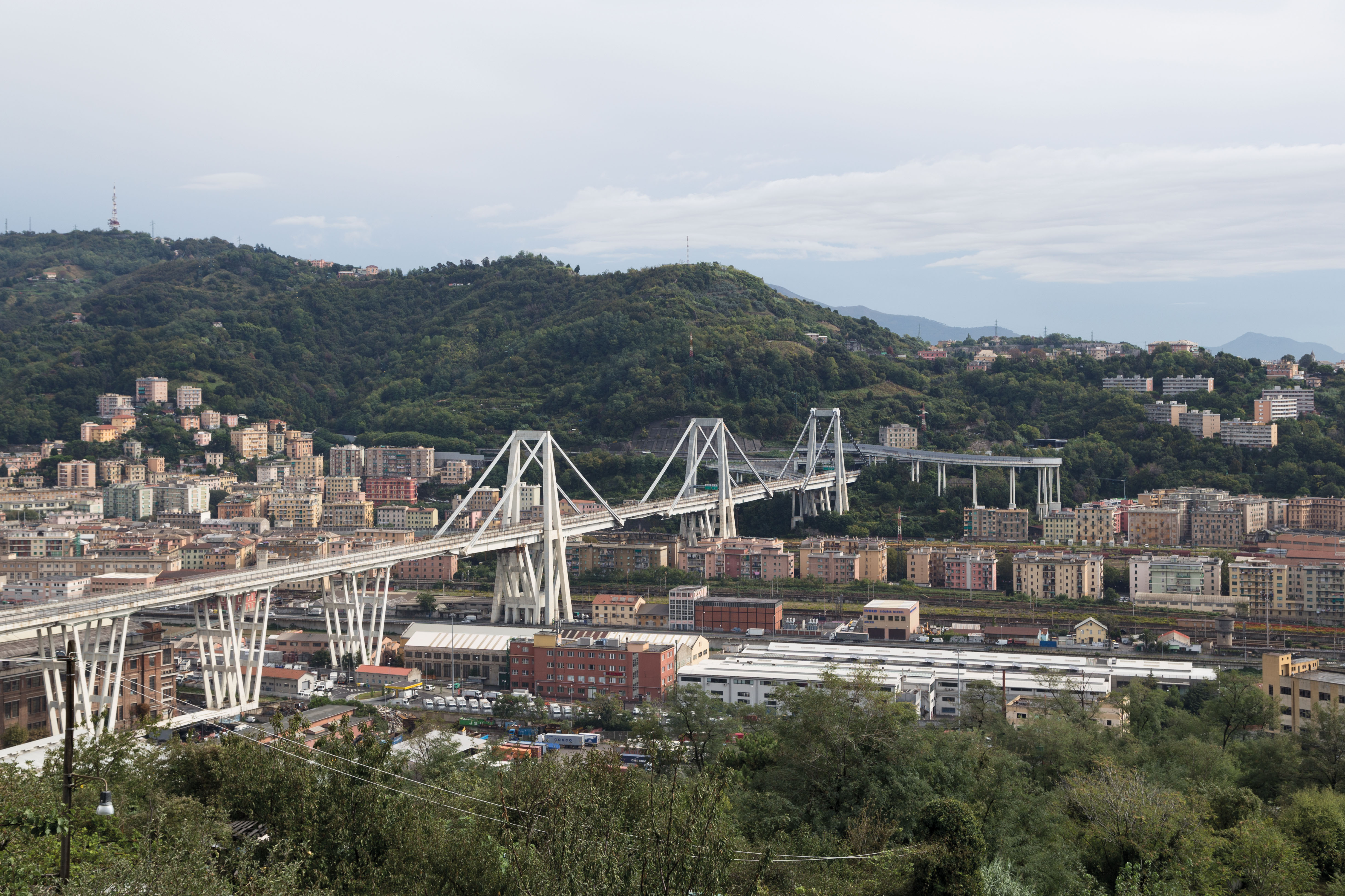 Viaduc du Polcevera à Gênes (1963-1967) : tel un ruban suspendu, le tablier ­surplombe le val Polcevera.