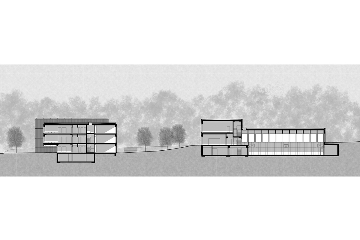 Schnitt mit Primarschule (links) und Doppelturnhalle (rechts).