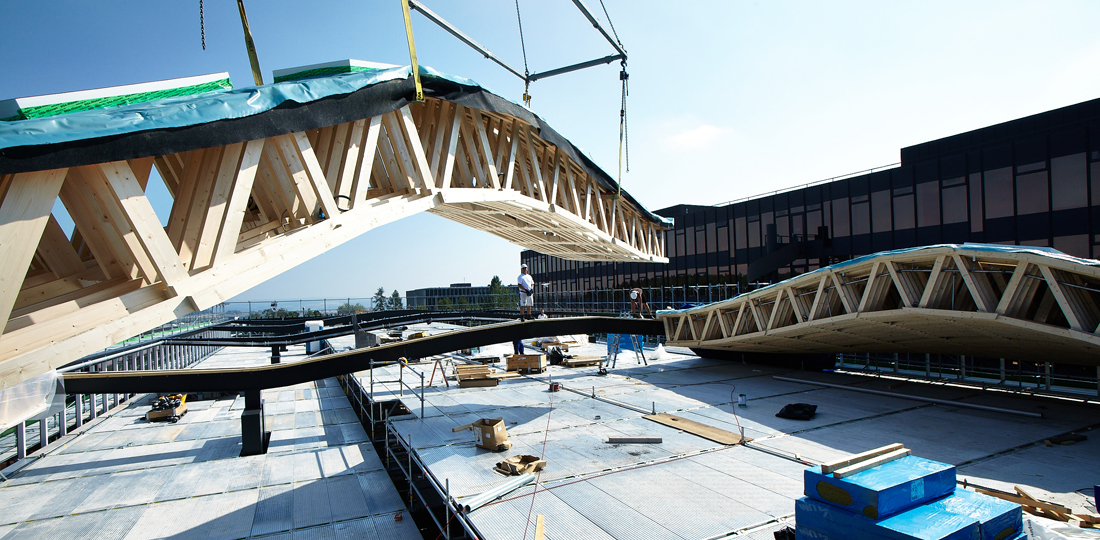 Montage des freigeformten Holzdachs
