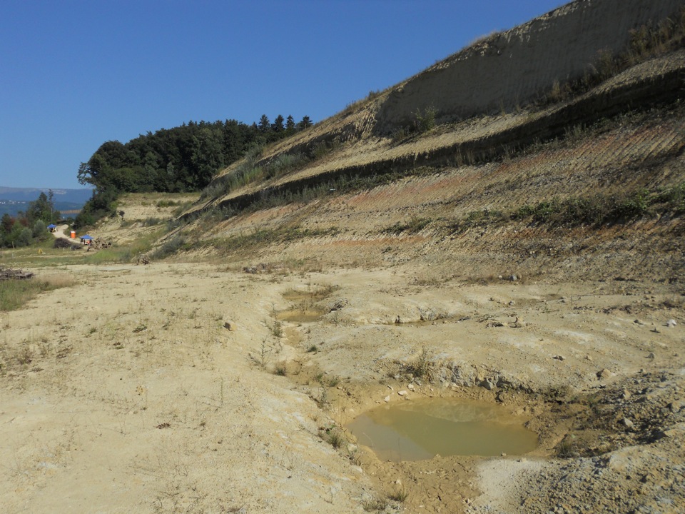 Hagneckeinschnitt mit den Tümpeln für die Gelbauchunken; diese werden durch Wasser aus den Drainagerohren aus den Sandstein- und Mergelschichten gespiesen.