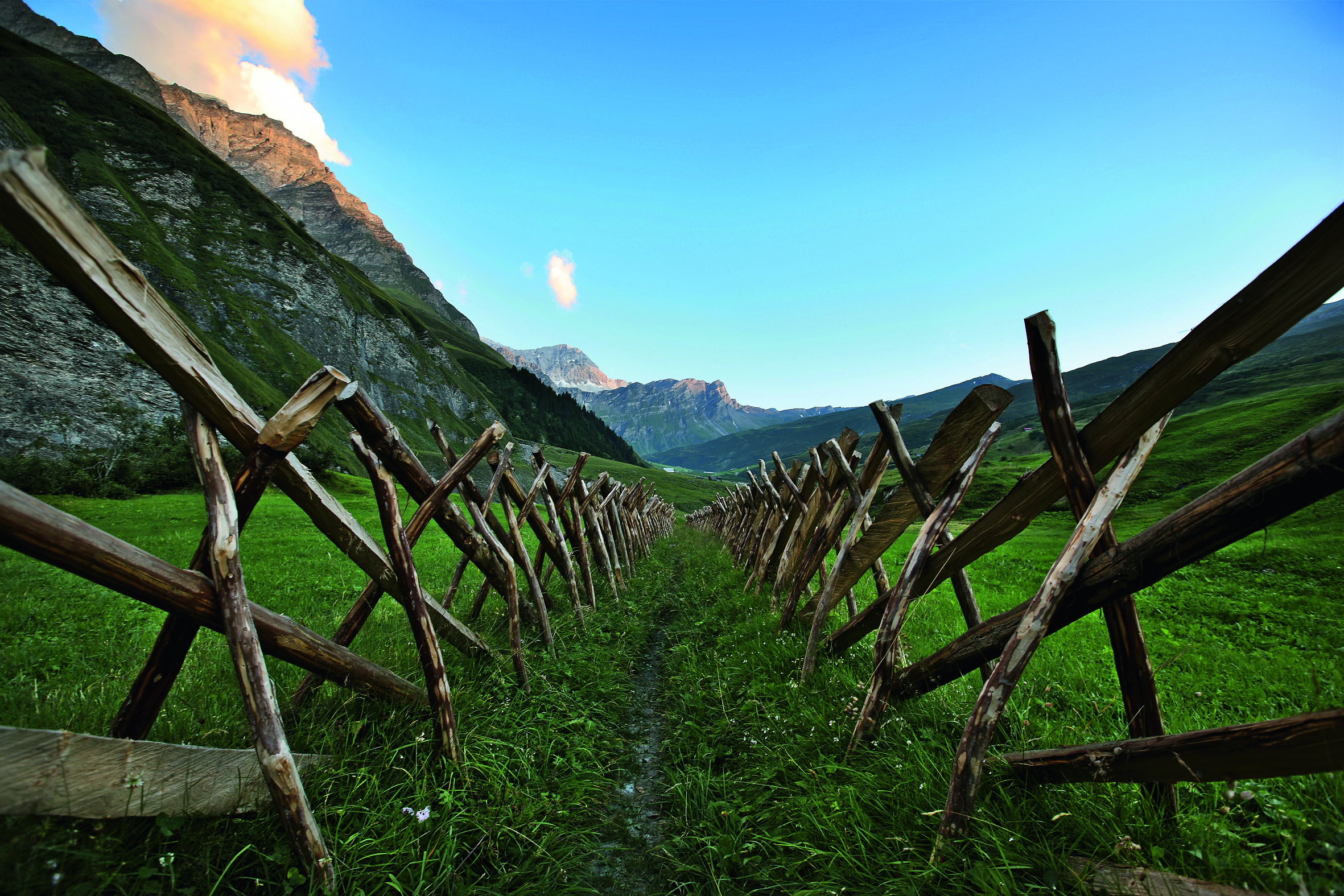 Neu erstellter «Stegelzuun» in der Kulturlandschaft Safien Thalkirch im Regionalen ­Naturpark Beverin