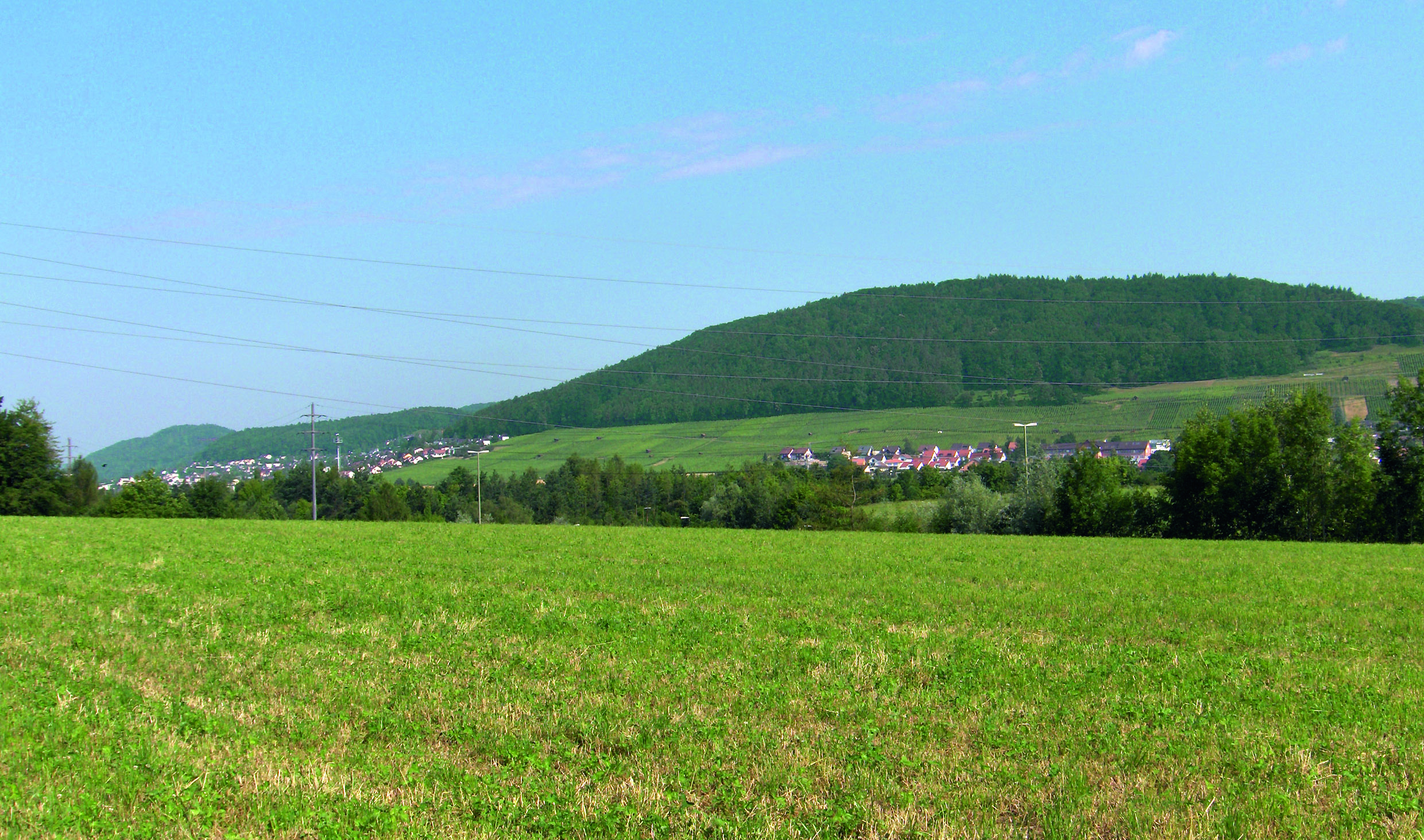Die quer zum Tal verlaufenden Freiräume («Landschaftsspangen») wie hier bei Weiningen ZH vernetzen den Limmatraum mit den bewaldeten Hügelzügen und den angrenzenden Freiraumbändern