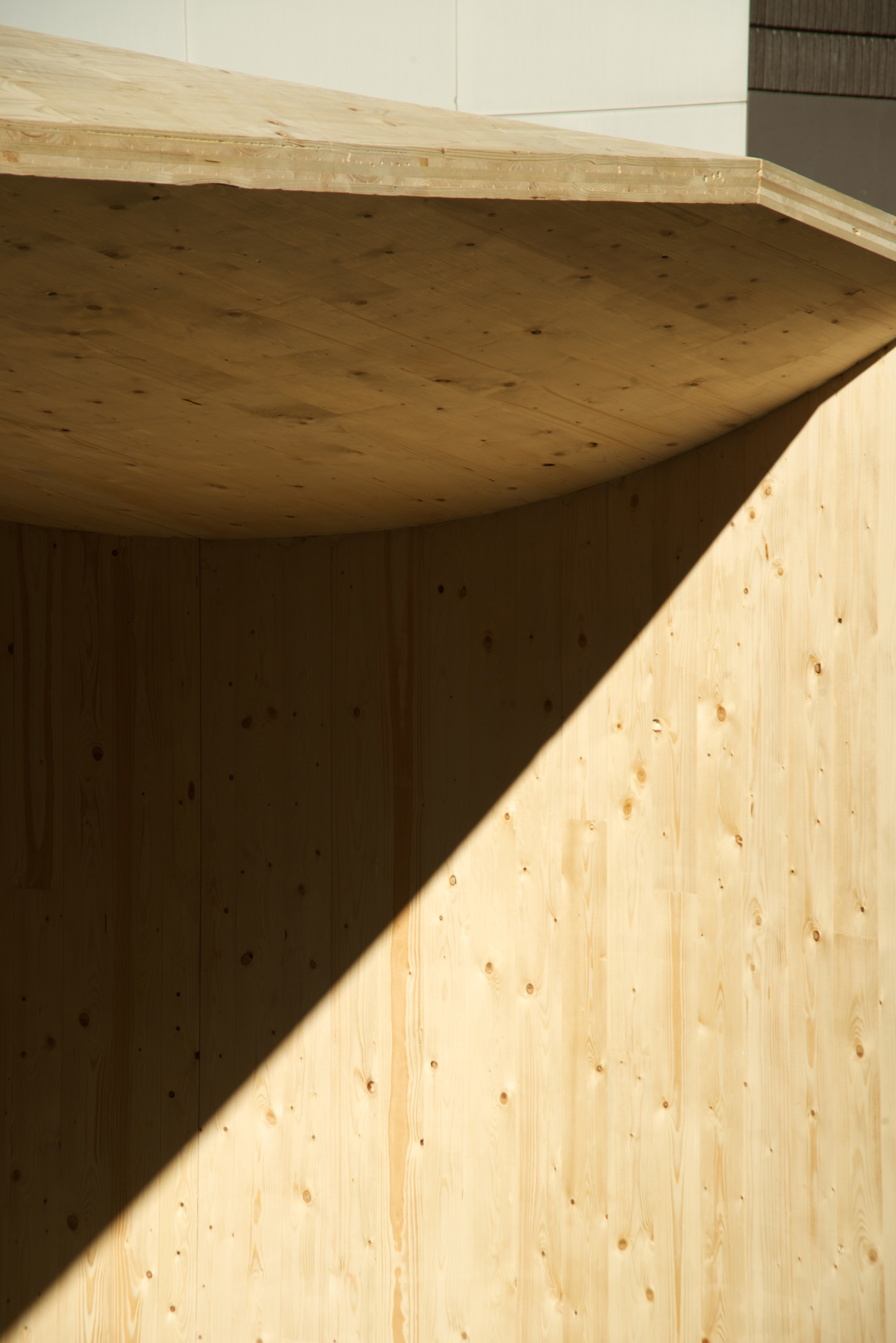 Detailansicht. (Foto: Fred Hatt, Ibois)