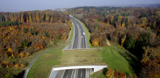 Eingezäunte Autobahnen und Hauptstrassen mit sehr starkem Verkehr, sprich mehr als 10.000 Fahrzeugen pro Tag sind für Wildtiere praktisch unpassierbar. Richtig platzierte, gut in die Landschaft integrierte Wildtierüberführungen sollen Abhilfe schaffen. Be