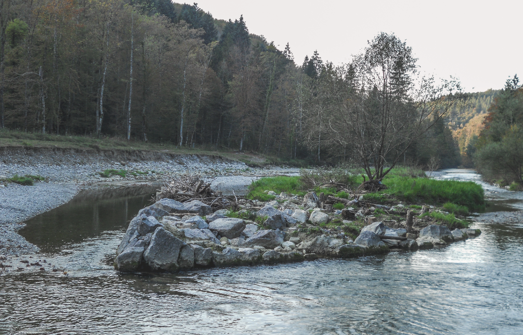 Revitalisierter Abschnitt der Töss im Linsental bei Winterthur. Solche Flussaufweitungen waren nicht überall möglich, denn im Gebiet befinden sich sechs Trinkwassererfassungen der Stadt Winterthur. (Foto: Lukas Denzler)