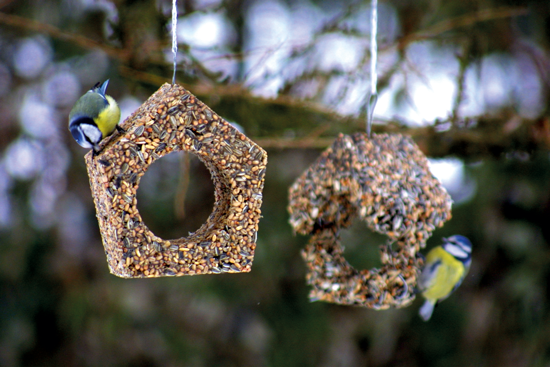 Cabane des oiseaux (dal 2005) è un piccolo rifugio commestibile fatto di mangime per uccelli, all insegna della sostenibilità: una volta terminato il pasto infatti «l architettura» si dissolve nella natura.