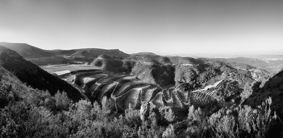 Batlle i Roig Arquitectes, Restauro paesaggistico della discarica di Barcellona, Garraf, 2002-10. Il progetto di risanamento adopera come modello la riproduzione di un sistema agricolo in modo di rigenerare un sito degradato come fase intermedia per il recupero delle condizioni naturali originarie.