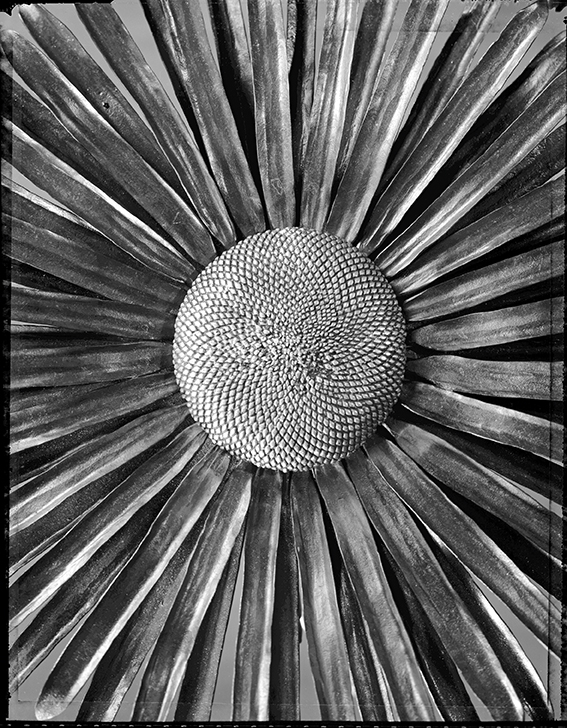 Dettagli della croce funeraria «Girasole» in ferro battuto e bronzo (in collaborazione con arch. Fabio Reinhart.) (Foto: Nicola Colombo)