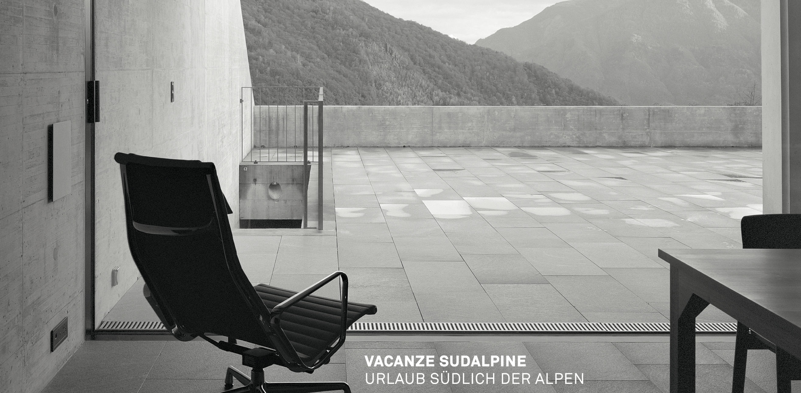 Dettaglio della copertura di archi 1/2015 (Foto:Tonatiuh Ambrosetti)