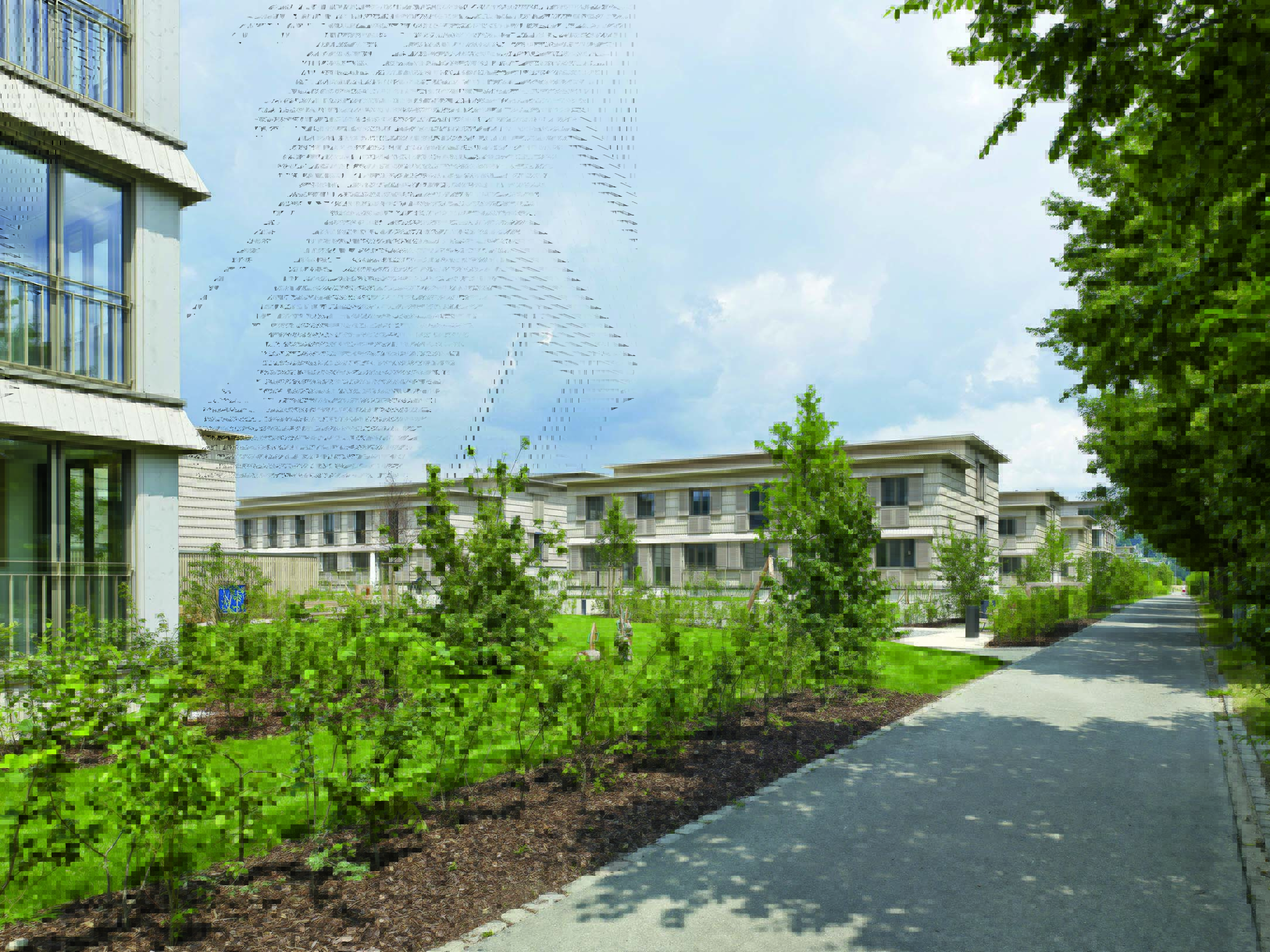 Dietrich Schwarz Architekten: Siedlung Neugrüen, Mellingen (AG). (Foto: Jürg Zimmermann)
