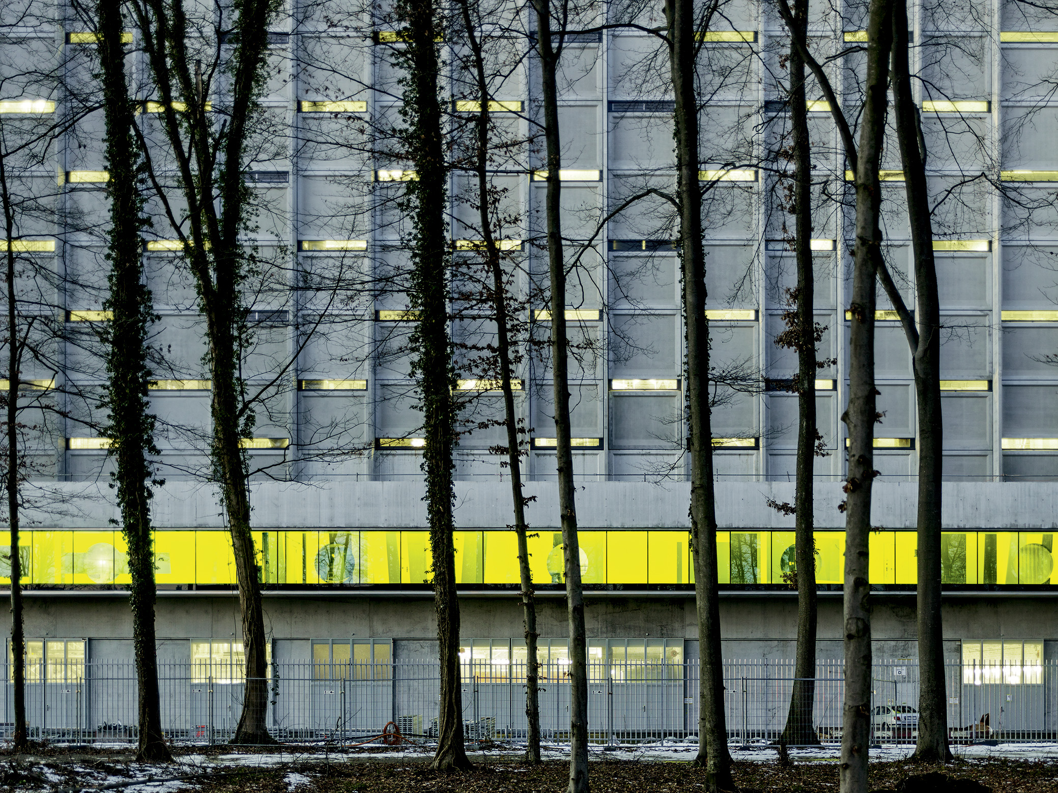 (Foto: Georg Aerni)