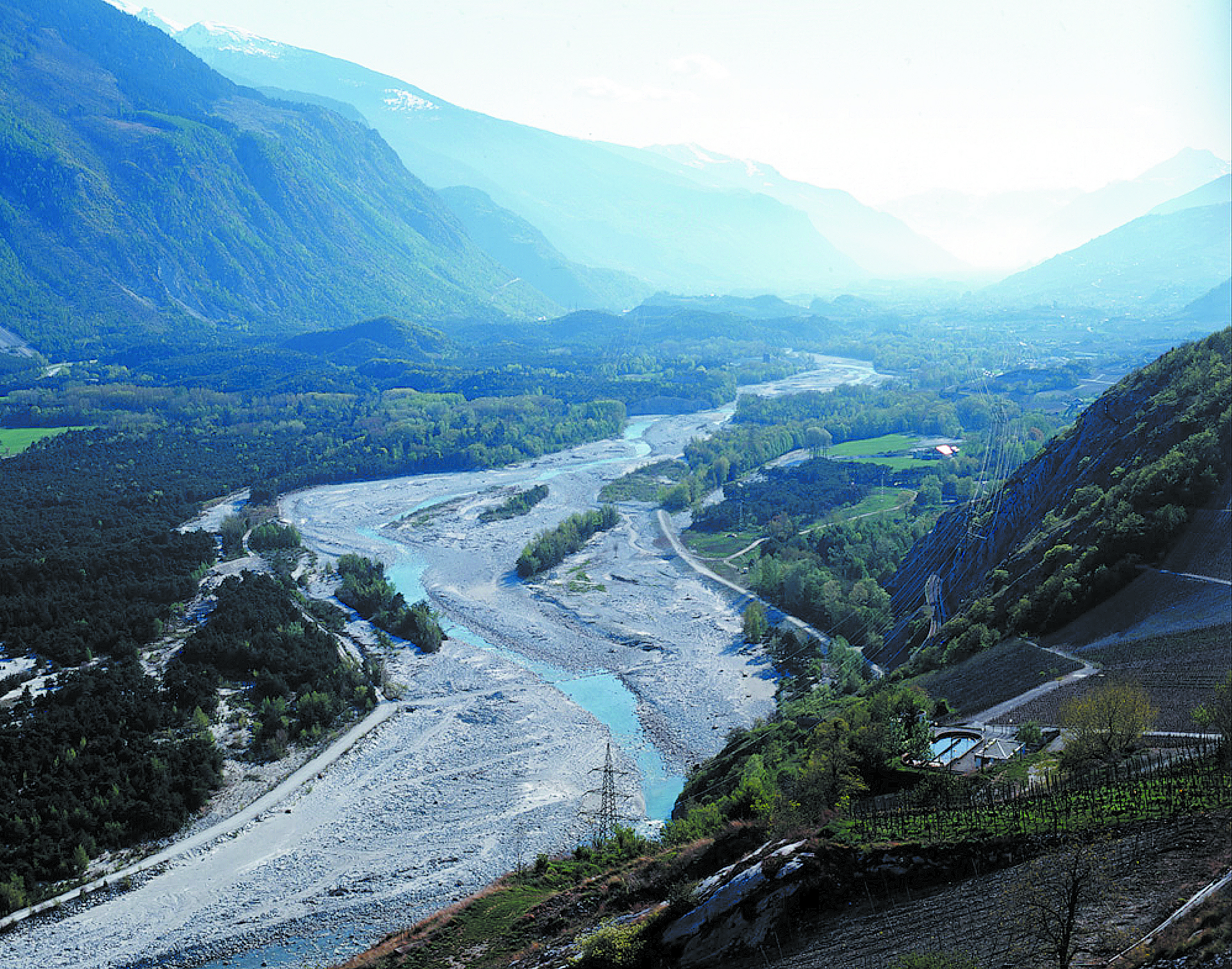 Der Pfynwald zwischen Leuk und Siders, einer der grössten zusammenhängenden Föhrenwälder der Alpen, ist einer der letzten Abschnitte, in dem die Rhone frei mäandrieren kann