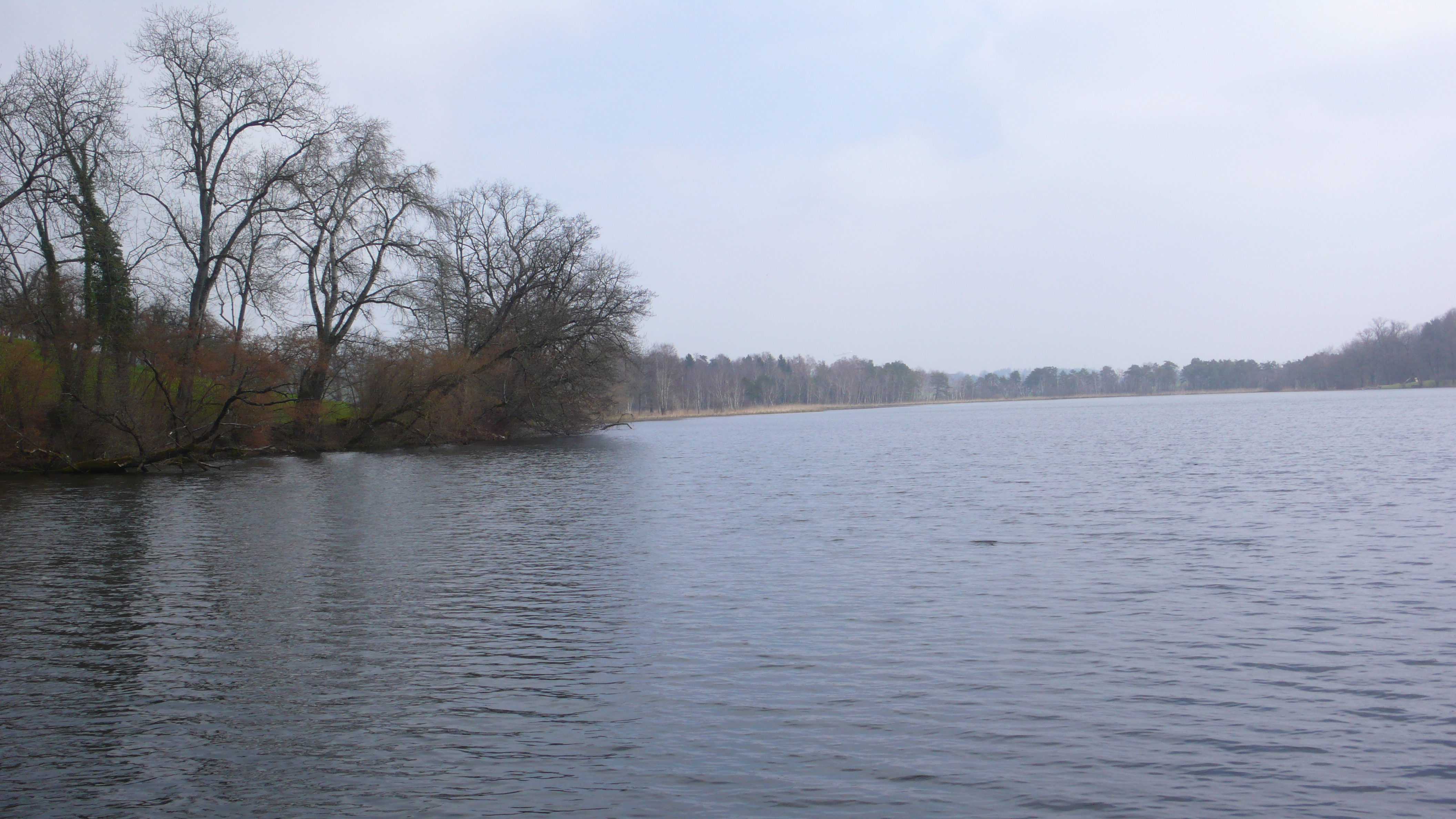 Zürcher Katzensee