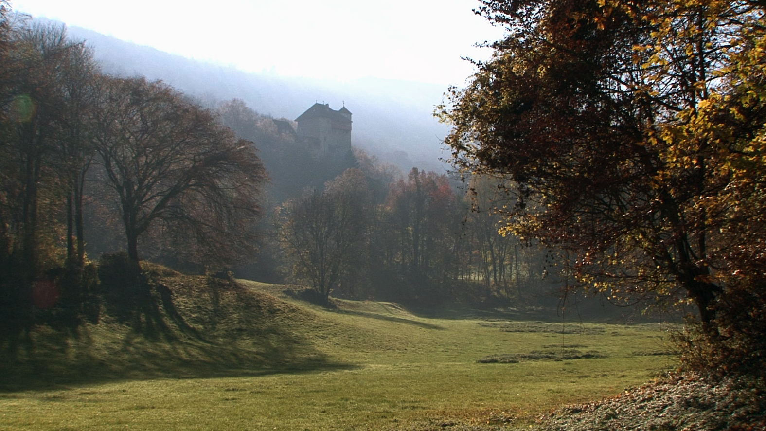 Waldungen bei der Burg Rotberg Teil des rund 1000 Hektaren Wald umfassenden Reviers der FBG
