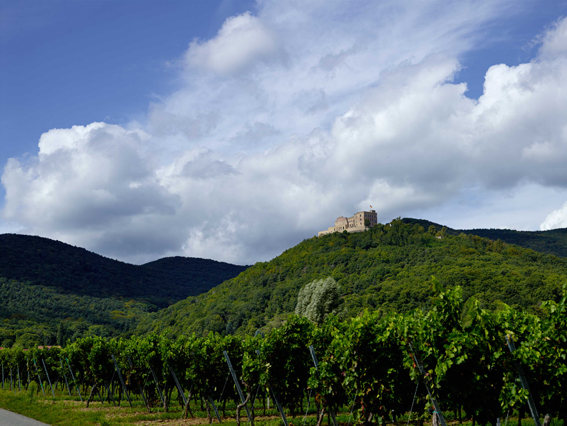 Südostansicht