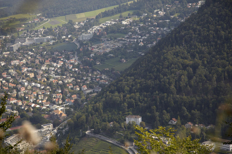 Schutzwald oberhalb von Chur.