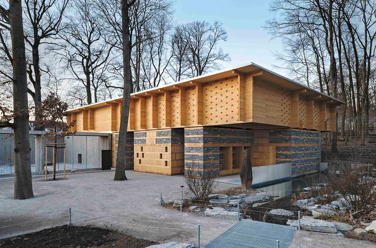 Holzbau kontemplativ: Gold für das Bärenwaldhaus im Tierpark Dählhölzli, Bern