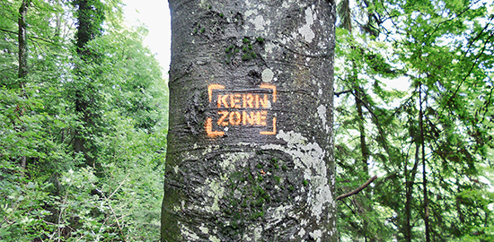 Markierung der Kernzone jenes Gebiet, in dem ein Weggebot gilt und Flora und Fauna ganzheitlich geschützt werden im Sihlwald im Kanton Zürich.