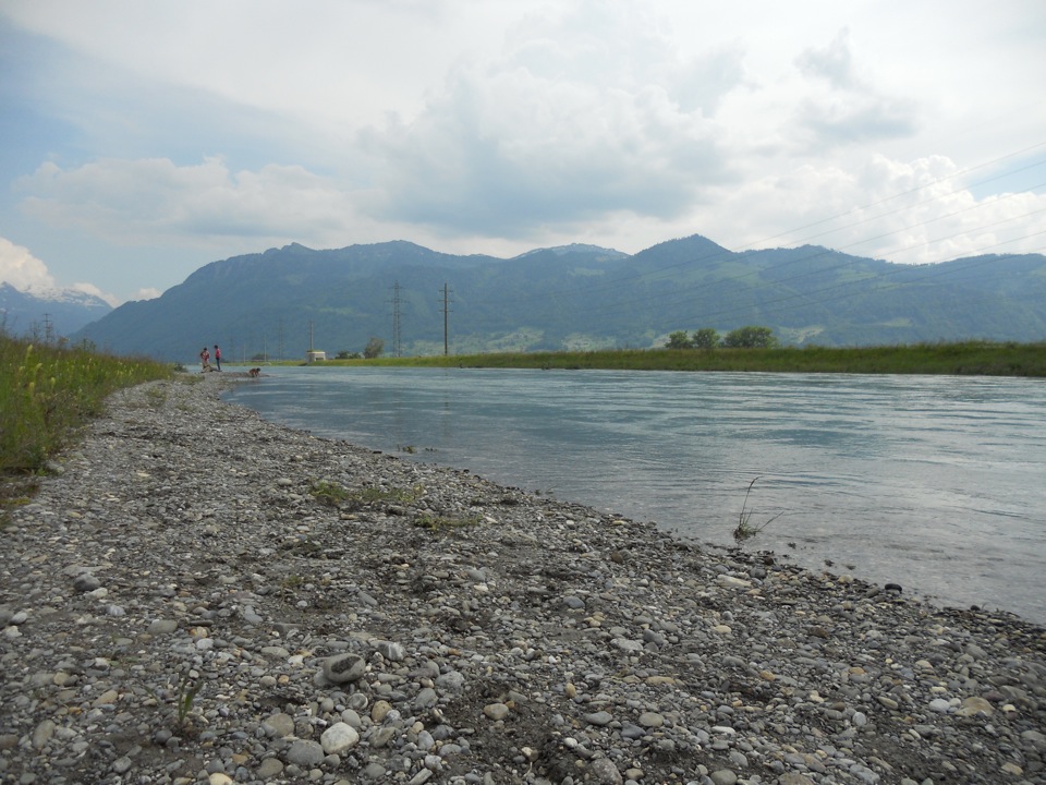 Linthkanal: Dank den neu gestalteten Flachufern wirkt er viel natürlicher (Aufnahme vom 7. Juni 2013) (Foto: Lukas Denzler)