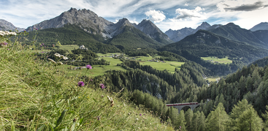 Rhätische Bahn bei Scuol-Tarasp, im Hintergrund das Schloss Tarasp. (Foto: RhB)