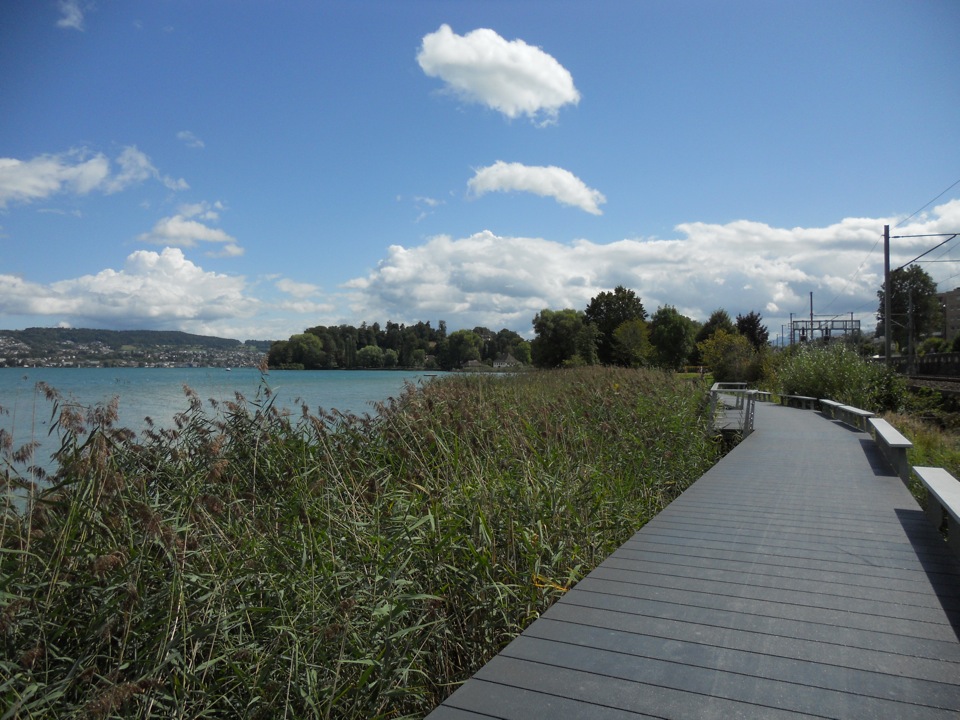 Seeuferweg zwischen Horgen und der Halbinsel Au